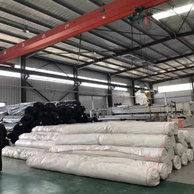 衡水黑色土工布市场价格走势与厂家供货解析